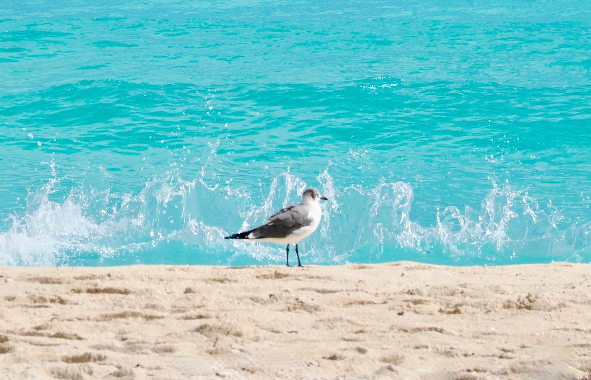 Solymar Condos On The Beach Cancún Exterior foto